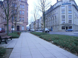 Fichier:Anim Wiki.gif