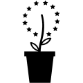 Vignette pour la version du 11 juin 2026 à 16:41